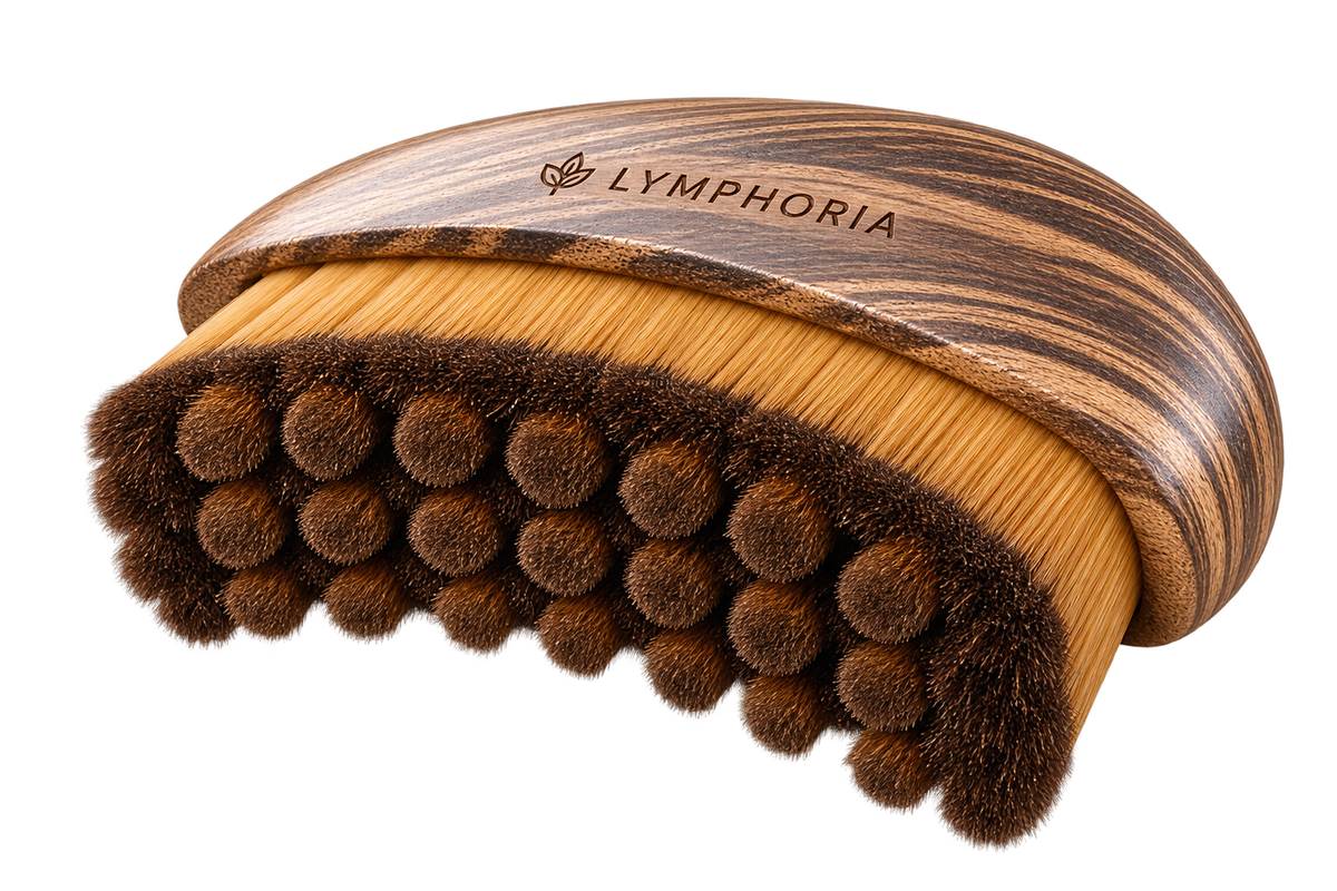 Brosse de Drainage Lymphatique – LYMPHORIA.